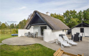 3 Bedroom Stunning Home In Blåvand